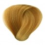  8.38 Blond clair doré beige