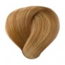  9.83 Blond très clair doré beige