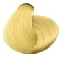 10.0 Blond platine