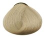 10.1 Blond platine cendré