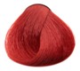 6.6 Blond foncé rouge intense