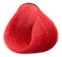 8.6 Blond clair rouge intense