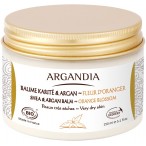 BAUME KARITE & ARGAN